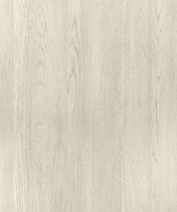rovere ghiaccio