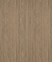 Noce chiaro 4644