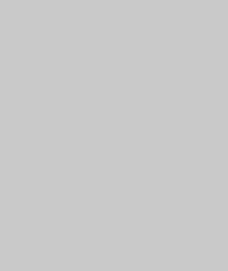 Grigio Efeso 725
