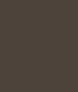 Cacao 749