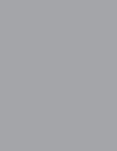 grigio piombo S4502-B